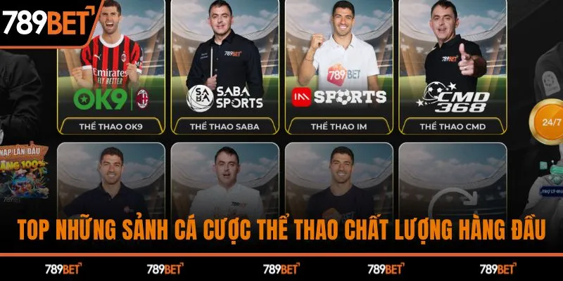 Top những sảnh cá cược thể thao chất lượng hàng đầu